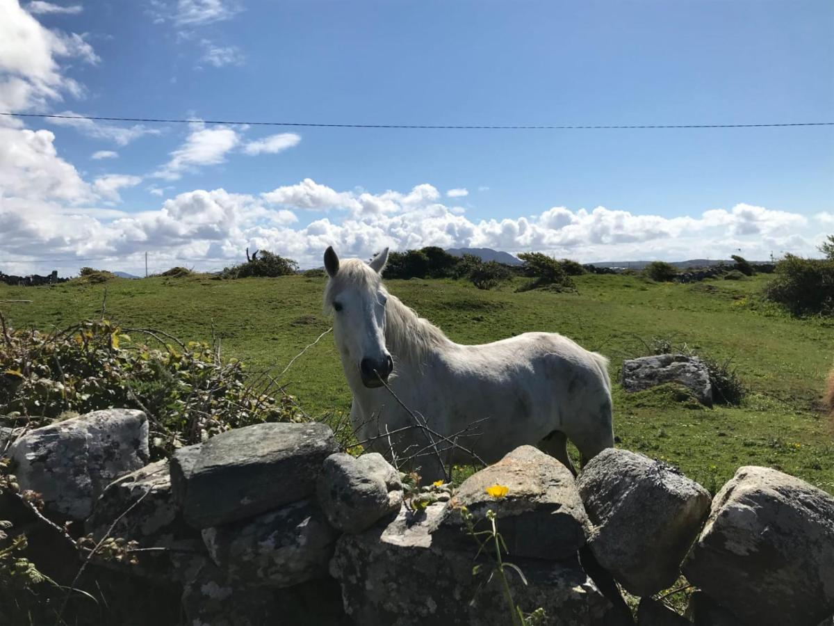 Kilronan Cottage Ballyconneely Dış mekan fotoğraf